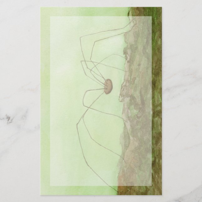 Papelería Papi Long Legs (Anverso)
