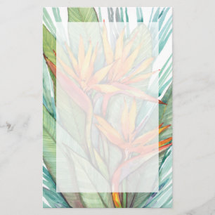 Papelería Paraíso Botánico Tropical II