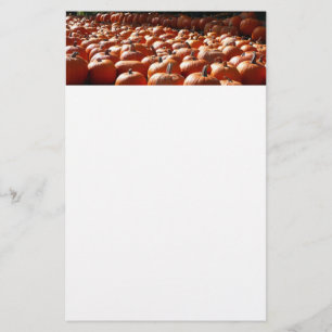 Papelería Parche de calabaza Fotografía de la cosecha otoñal
