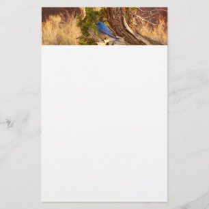 Papelería Parque nacional de Arches