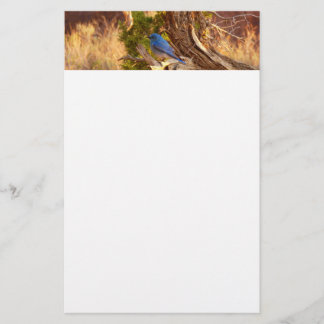 Papelería Parque nacional de Arches