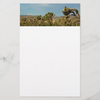 Papelería Parque Nacional Joshua Tree Paisaje Desértico
