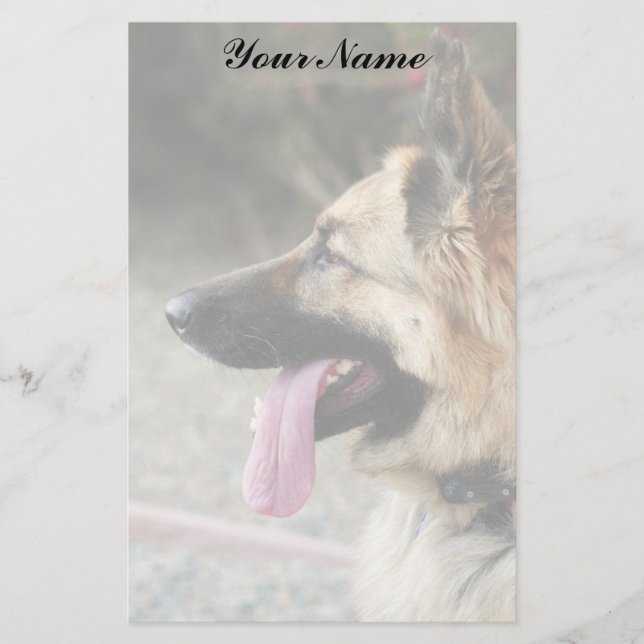 Papelería Pastor alemán inmóvil (Anverso)