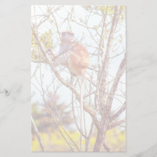 Papelería Patas arriba un árbol