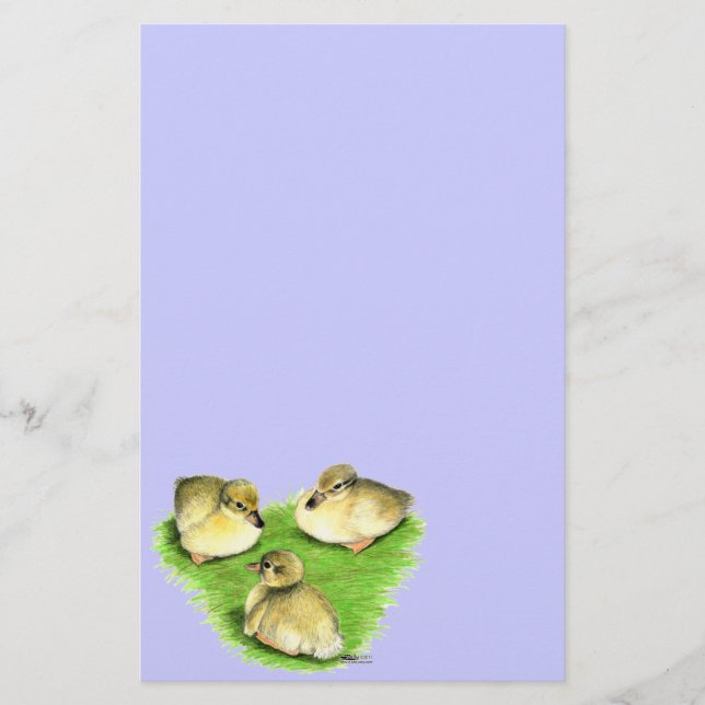 Papelería Patitos de Ánade Real nevados (Anverso)