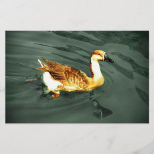 Papelería Pato