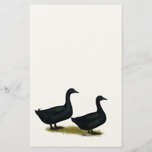 Papelería Patos: Cayugas negro