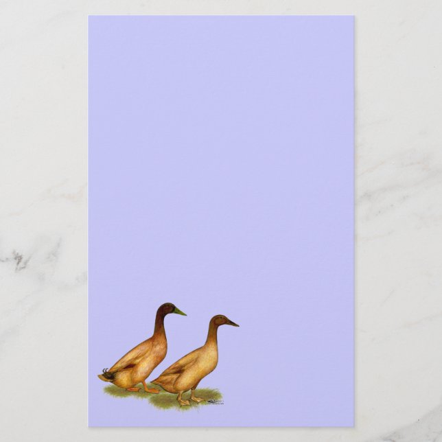 Papelería Patos: Khaki Campbell (Anverso)