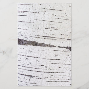 Papelería Patrón de la corteza de Birch