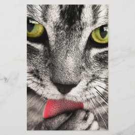 Papelería Paw de golpes de gatos en tabby