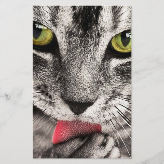 Papelería Paw de golpes de gatos en tabby (Anverso)