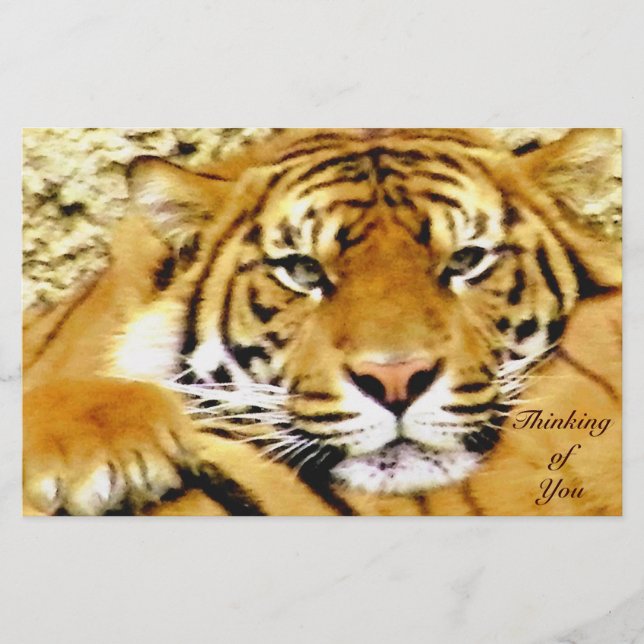 Papelería Pensar en ti. (Anverso)