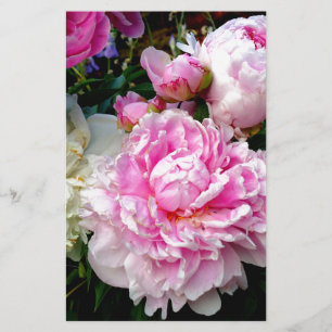Papelería Peonias rosas y blancas