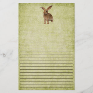 Papelería Pequeño conejito descuidado - Estacionamiento