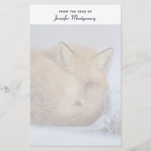 Papelería Pequeño Fox Maldita Foto De Invierno