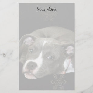 Papelería Perrito de Pitbull inmóvil