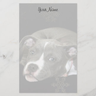 Papelería Perrito de Pitbull inmóvil