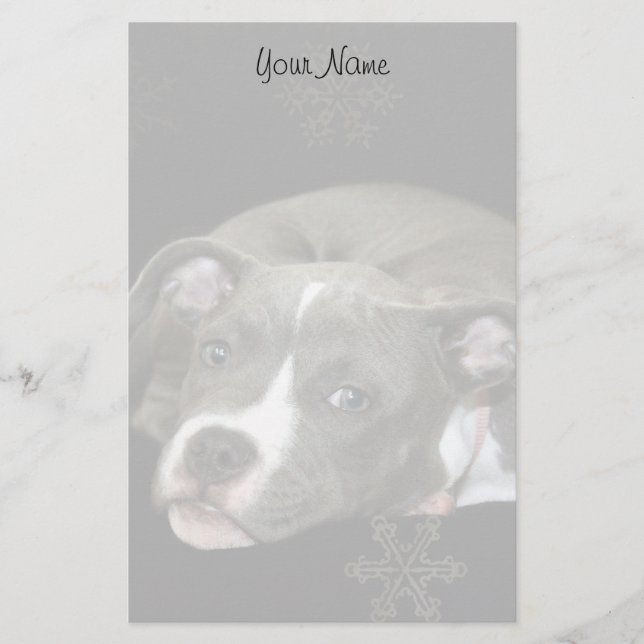 Papelería Perrito de Pitbull inmóvil (Anverso)