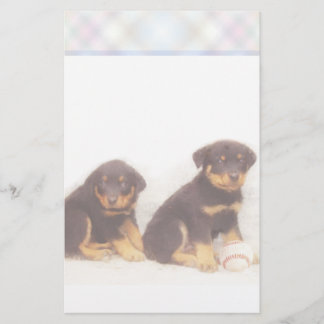 Papelería Perrito de Rottweiler inmóvil