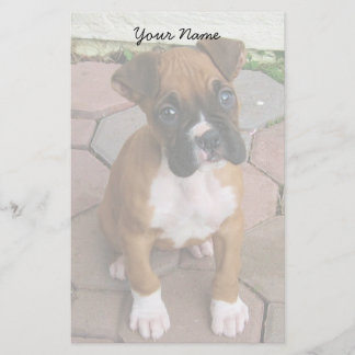 Papelería Perrito del boxeador inmóvil