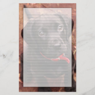 Papelería Perrito negro del laboratorio