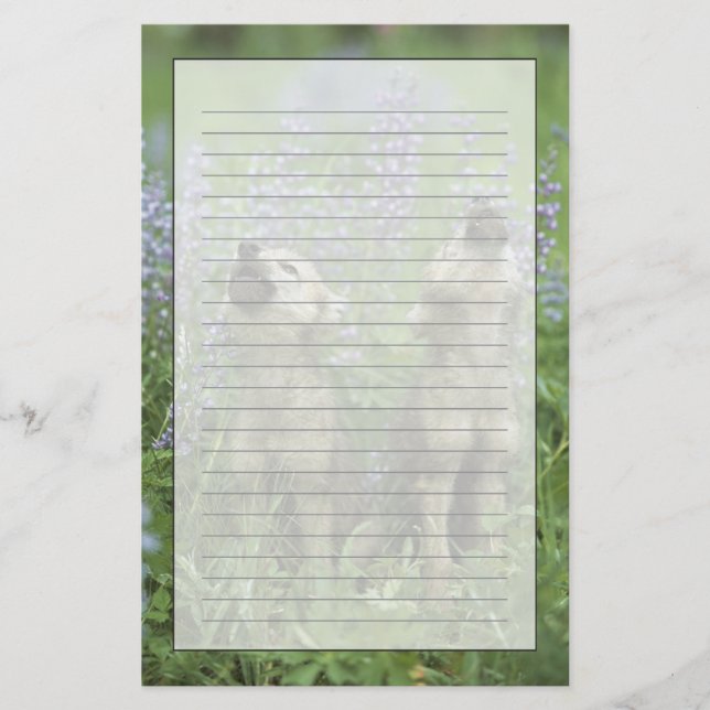 Papelería Perritos de lobo que gritan en prado (Anverso)