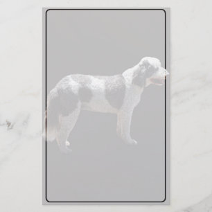 Papelería Perro acuático portugués