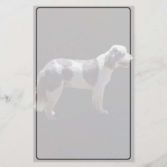 Papelería Perro acuático portugués (Anverso)
