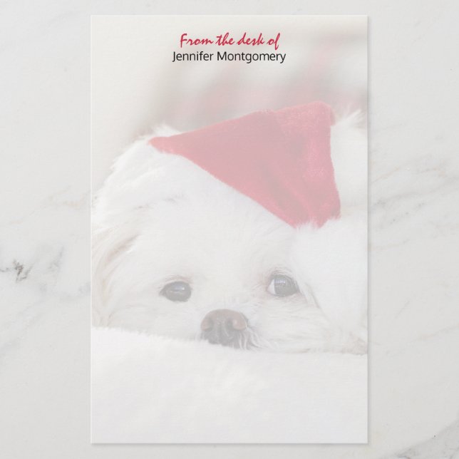 Papelería Perro blanco lindo en un Gorra de Navidades rojos (Anverso)