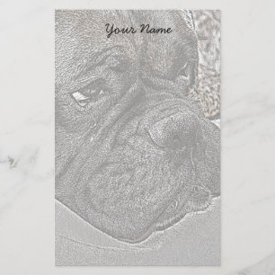 Papelería Perro Boxer estacionado