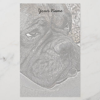 Papelería Perro Boxer estacionado