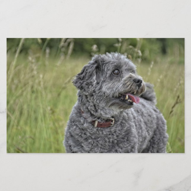 Papelería Perro Cute Terrier (Anverso)