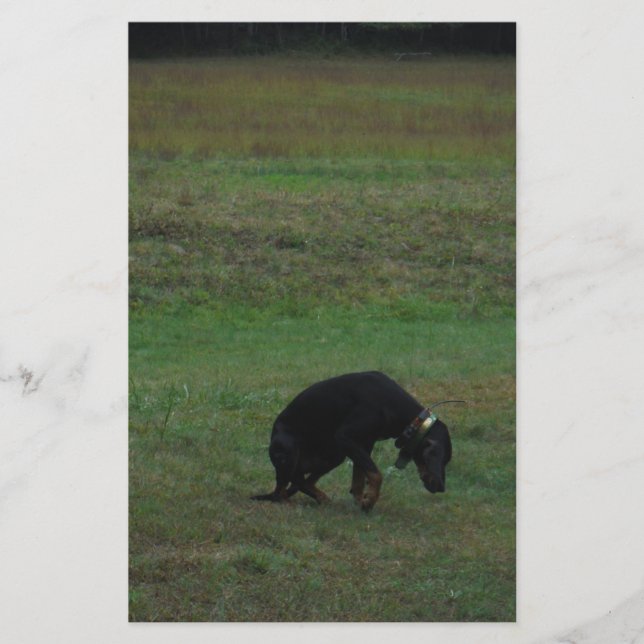 Papelería Perro de perro muerto abandonando la persecución (Anverso)