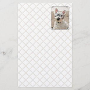 Papelería Perro de Westie que lleva los vidrios negros,