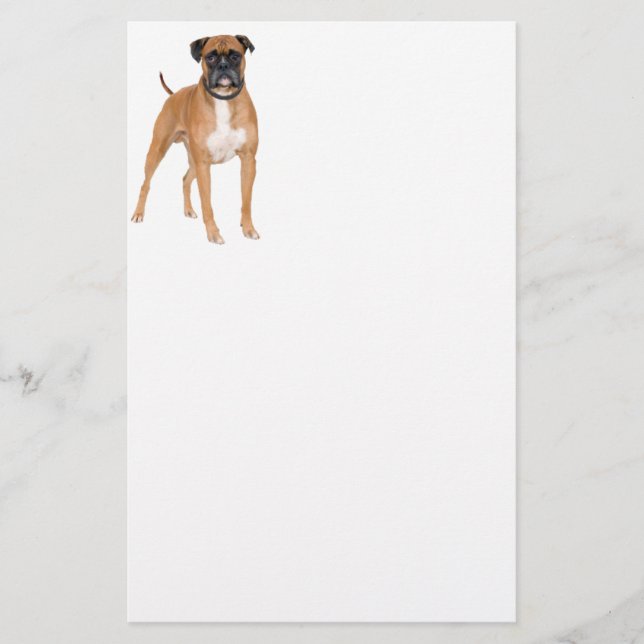 Papelería Perro del boxeador (Anverso)