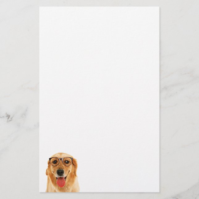 Papelería Perro divertido de Golden Retriever (Anverso)