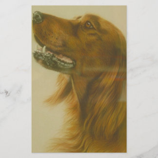 Papelería Perro irlandés del organismo rojo