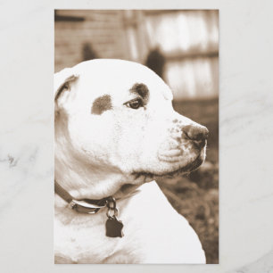 Papelería perro pitbull color sepia odio hecho no raza