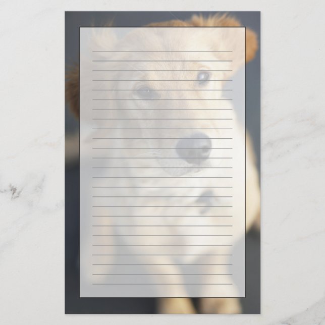 Papelería Perro que mira para arriba (Anverso)