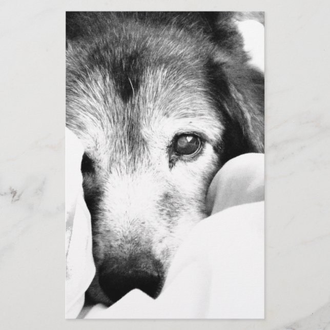 Papelería perro somnoliento acurrucado en la cama blanco neg (Anverso)