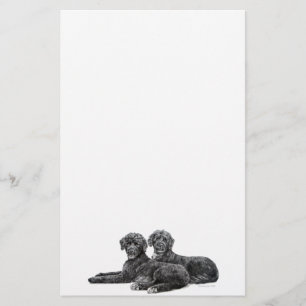 Papelería Perros de agua portugueses