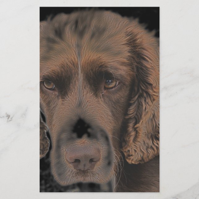 Papelería Perros de Springer ingleses (Anverso)