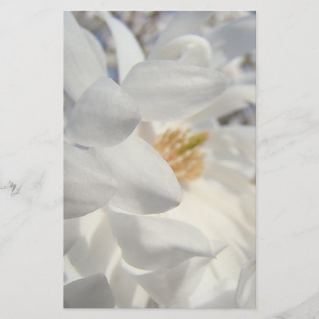 Papelería Personalizado blanco de los efectos de escritorio (Anverso)