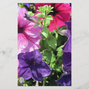 Papelería Petunias coloridas