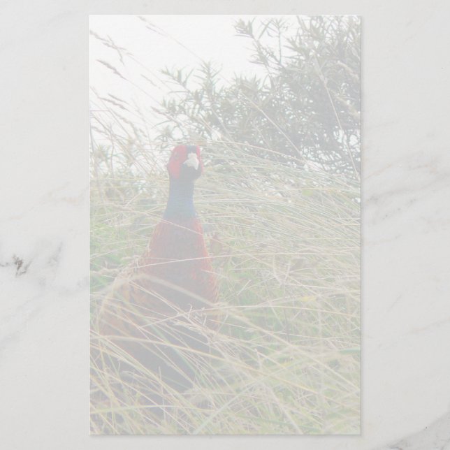 Papelería Pheantastic (Anverso)