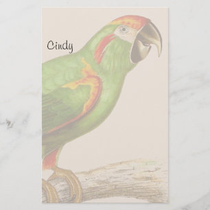 Papelería Piedra de animales de fauna y flora de Macaw Parro