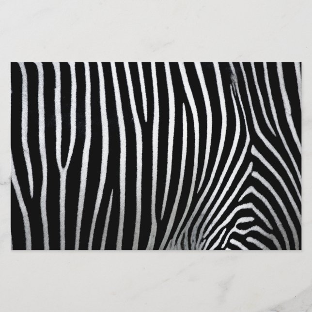 Papelería Piel cebra (Anverso)