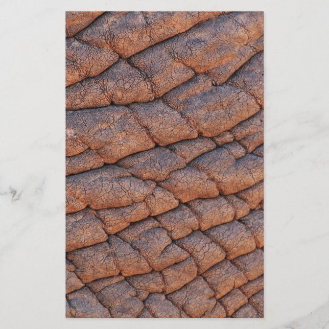 Papelería Piel elefante (Anverso)