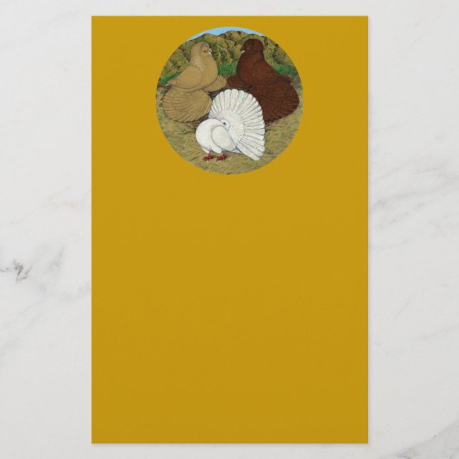 Papelería Pigeon Combo (Anverso)