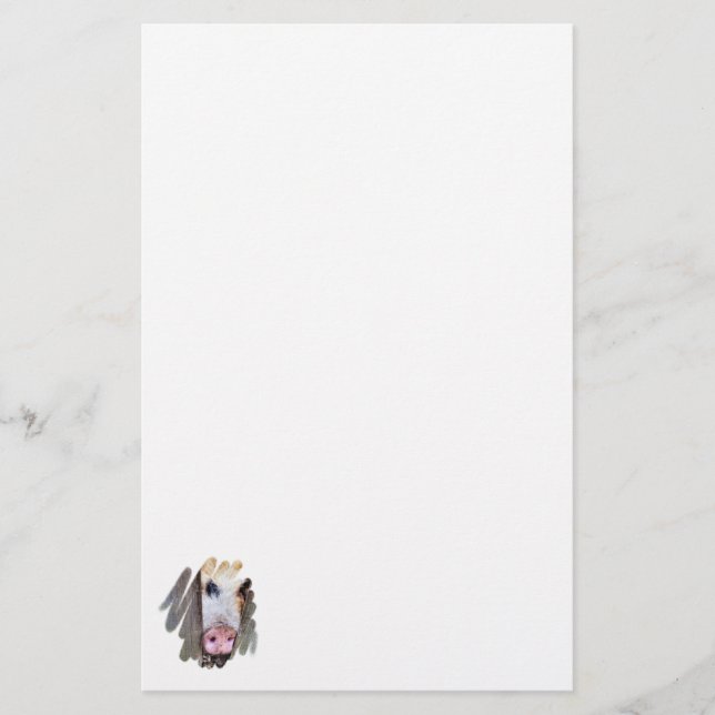 PAPELERÍA PIGS (Anverso)